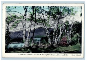 1935 A View Chocorua Lake Mt. Through Birches Chocorua NH Handcolored Postcard