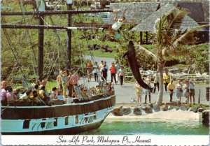 Postcard HI Sea Life Park, Makapuu Point Oahu Whale jumping out of water