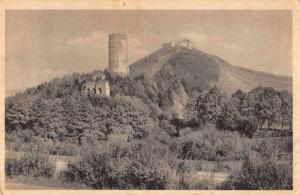 Czech Republic Zebrak and Tocnik Castles Birds Eye View Antique Postcard J77346