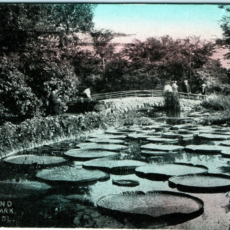 1911 St Paul, Minn. Como Park Lily Pond Litho Photo Postcard Victorian Women A36