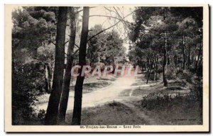 Postcard Old St Trojan les Bains Sous Bois