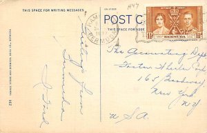 Pink Beach Bermuda Postcard