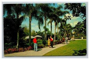 Vintage 1960's Postcard Visitors at Busch Gardens Brewery Tampa Florida