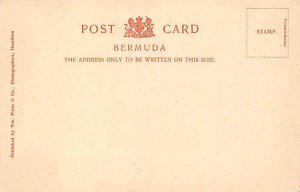 Bridge at Norwood Bermuda Postcard