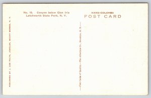 Hand-Colored~New York~Canyon Below Glen Iris @ Letchworth State Park~Vintage PC