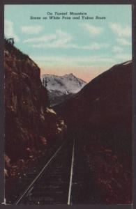 On Tunnel Mountain,Scene on White Pass Yukon Route Postcard 