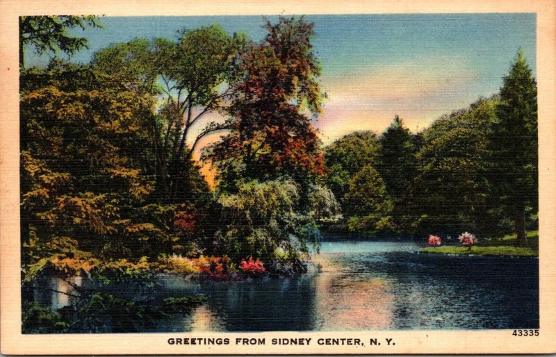 New York Greetings From Sidney Center 1951