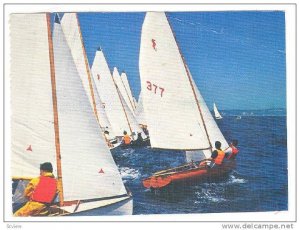 Yachting off Enoshima Island , Japan , PU-1975