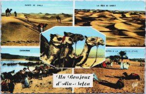 Algeria Un Bonjour d'Aïn Sefra Vintage Postcard C190
