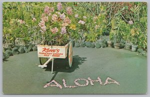 Aloha~Kongs Floraleigh Garden Hilo Wagon & Orchid Gardens~Hawaii~Vintgae PC