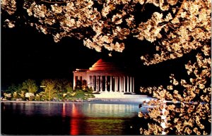 Jefferson Memorial Cherry Trees Night Scene Nations Capitol Arps Postcard 