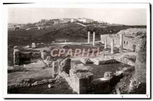 Old Postcard Carthage Roman Villas House of the mosaic has Voliere