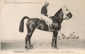 Ieliotrope La France Chevaline Race 1885 Horse Signed Old PB Postcard