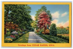 c1940's Greetings From Cedar Rapids Iowa IA Unposted Country Road Trees Postcard