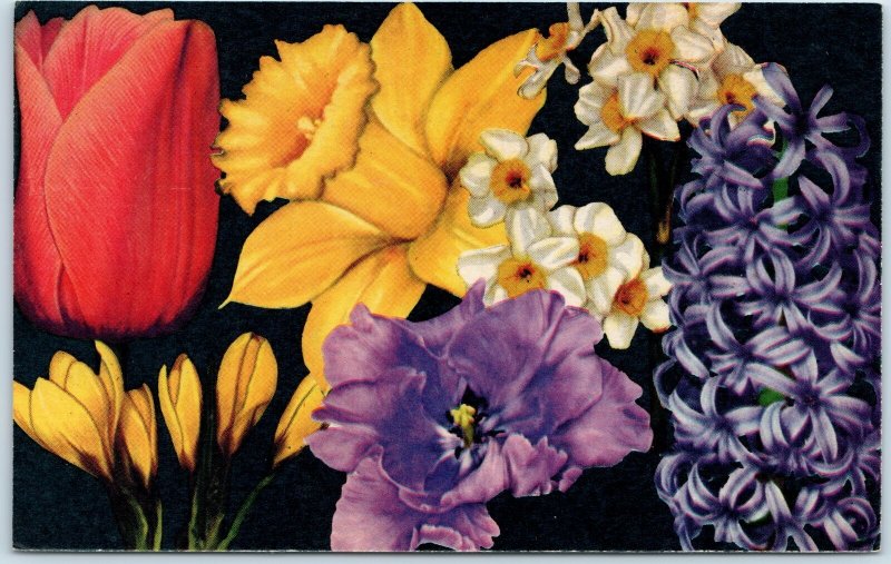 c1950s SS Kresge Co Florist Flower Advertising Postcard 5c 10c Store Retail A208