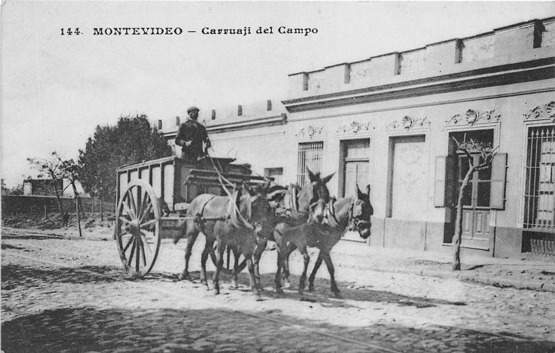 B84929 carruaji del campo horse chariot types folklore montevideo   uruguay