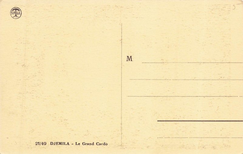 Vintage Djemila Algeria Ruins Le Grand Cardo Photo Postcard