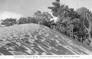 Warren Dunes State Park The Summit  Mount Baldy - Sawyer, Michigan MI  