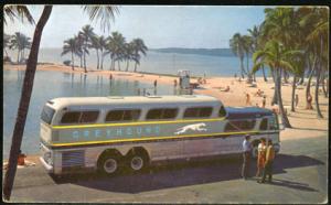 Greyhound Scenicruiser (Postcard)
