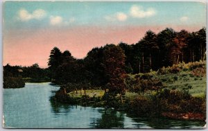 Picturesque Scenic View Of The River In Forest Trees Picnic Area Postcard