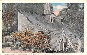 The Home of Ephraim Bull Originator of the Concord Grape - Concord, Massachus...