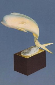 Royal Worcester Dolphin Ronald Van Ruyckevelt 1970s Statue Sculpture Postcard