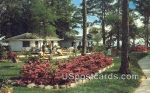 Sea Gull Motel in Biloxi, Mississippi