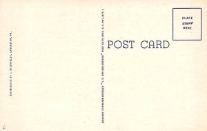 Amish Men Homeward Bound Lancaster, Pennsylvania, USA Postcard