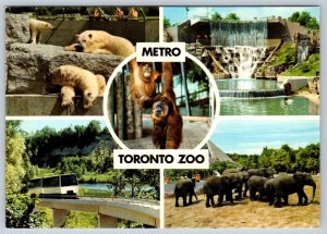 Metro Toronto Zoo, Ontario, Canada, 5 Views, Chrome Multiview Postcard