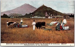 Mexico Modern American Binders Near Pyramids Of Cholula Mt. In Distance Postcard