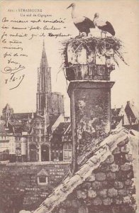 France Strasbourg Nid De Cigignes Storks 1919