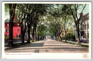 Chestnut Street, Salem, Massachusetts, Antique 1906 Detroit Publishing Postcard