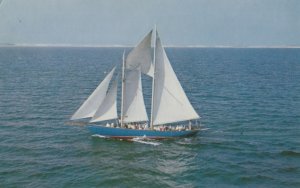 VINTAGE POSTCARD SCHOONER HINDU SHIP AT McMILLAN WHARF PROVINCETOWN CAPE COD MA