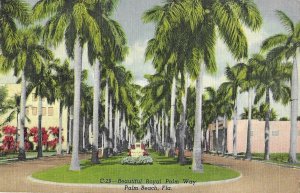 Beautiful Royal Palm Way Palm Beach Florida