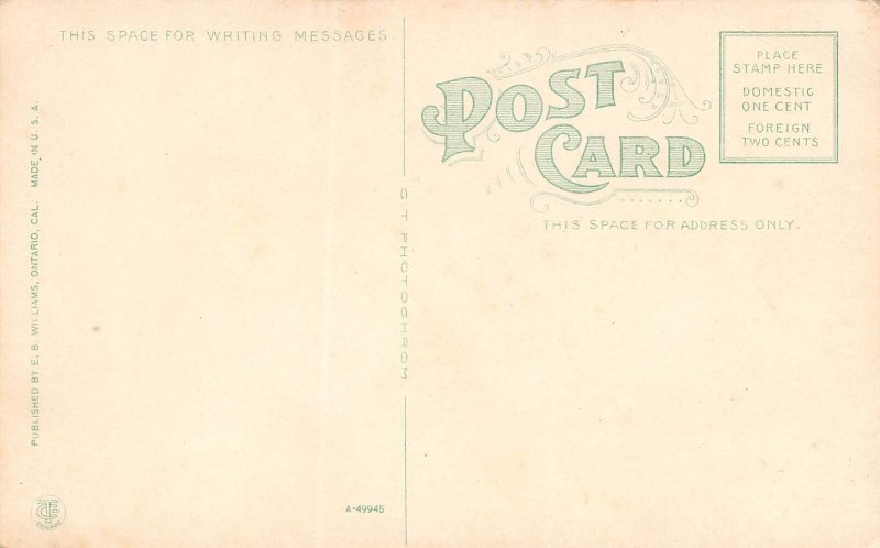 Ontario California Central School, Color Lithograph Vintage Postcard U14111