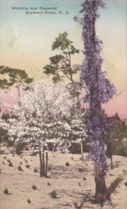 North Carolina Southern Pines Wisteria and Dogwood Trees Handcolored Albertype