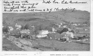 NORTH BRANCH, NY Looking Northeast New York ca 1907 Vintage Postcard