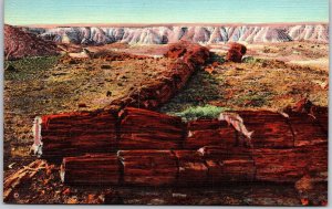 Arizona AZ, The Twin Sisters, Petrified Forest, Prostrate Logs, Vintage Postcard