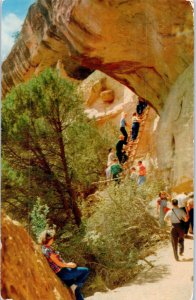 Balcony House Run Mesa Verde National Park Colorado Postcard Posted 1960