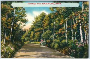 x7 LOT c1940s Edgewood, IA Greetings from Landscape Snow Linen Postcards A257