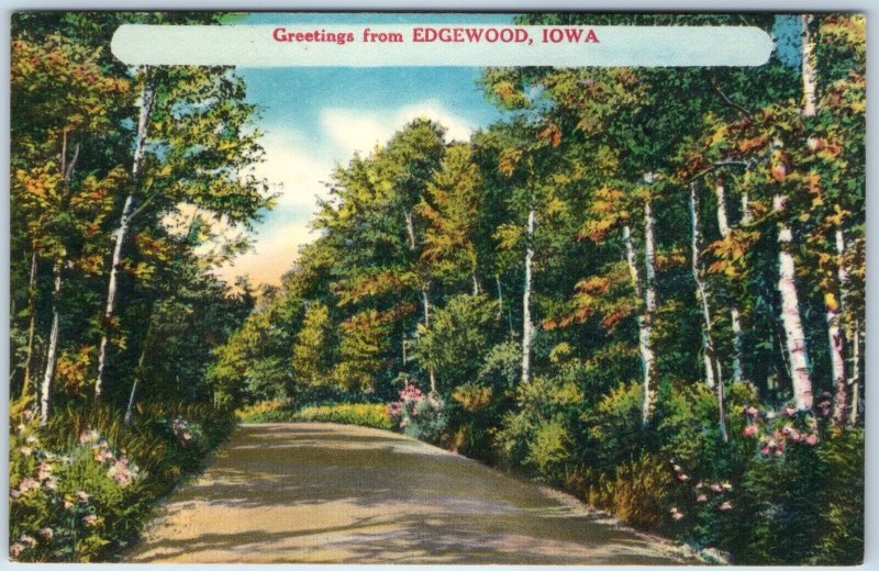 x7 LOT c1940s Edgewood, IA Greetings from Landscape Snow Linen Postcards A257