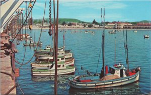 Santa Cruz Wharf California Chrome Postcard C181