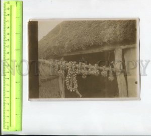 467421 RUSSIA 1910-years bundles of garlic at the Ukrainian hut photo