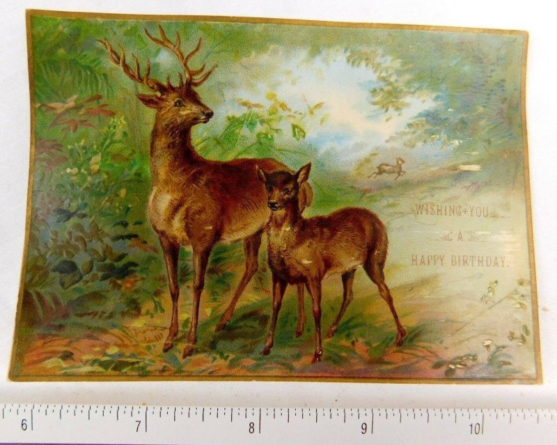 Lovely Superb 12pt Buck & Fawn Deer Embossed Vivid Birthday Victorian Card F50