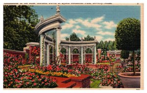 Vintage 1940s Postcard Colonnade Rose Garden, David S Lynch Memorial Park MA