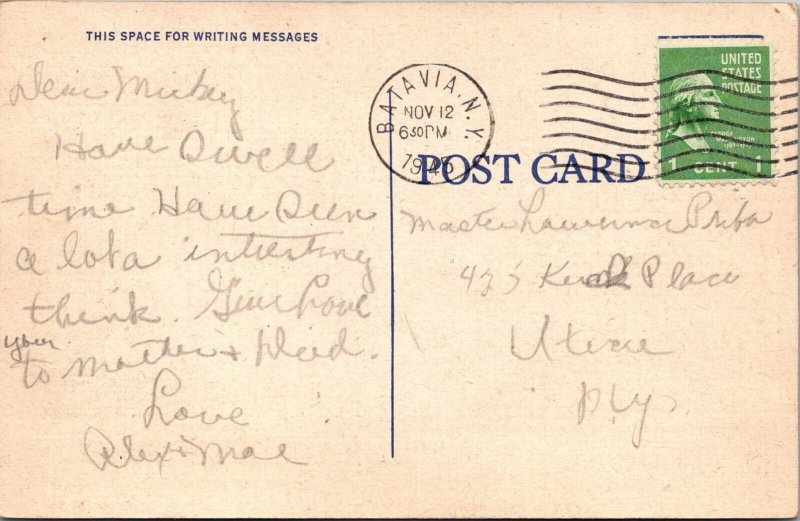 Postcard Comic Cow Risqué Woman PM Batavia NY JH7