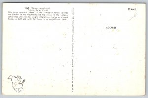 Bull Elk   Artist Signed  Al Kreml Postcard