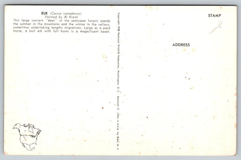 Bull Elk   Artist Signed  Al Kreml Postcard