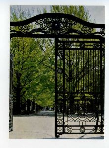 487594 JAPAN Tokyo University main gate Old postcard