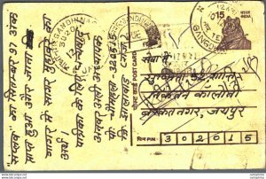 India Postal Stationery Tiger 15 Drawing Girl